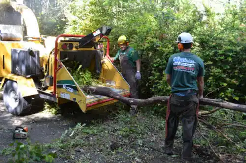 tree services Kamiah